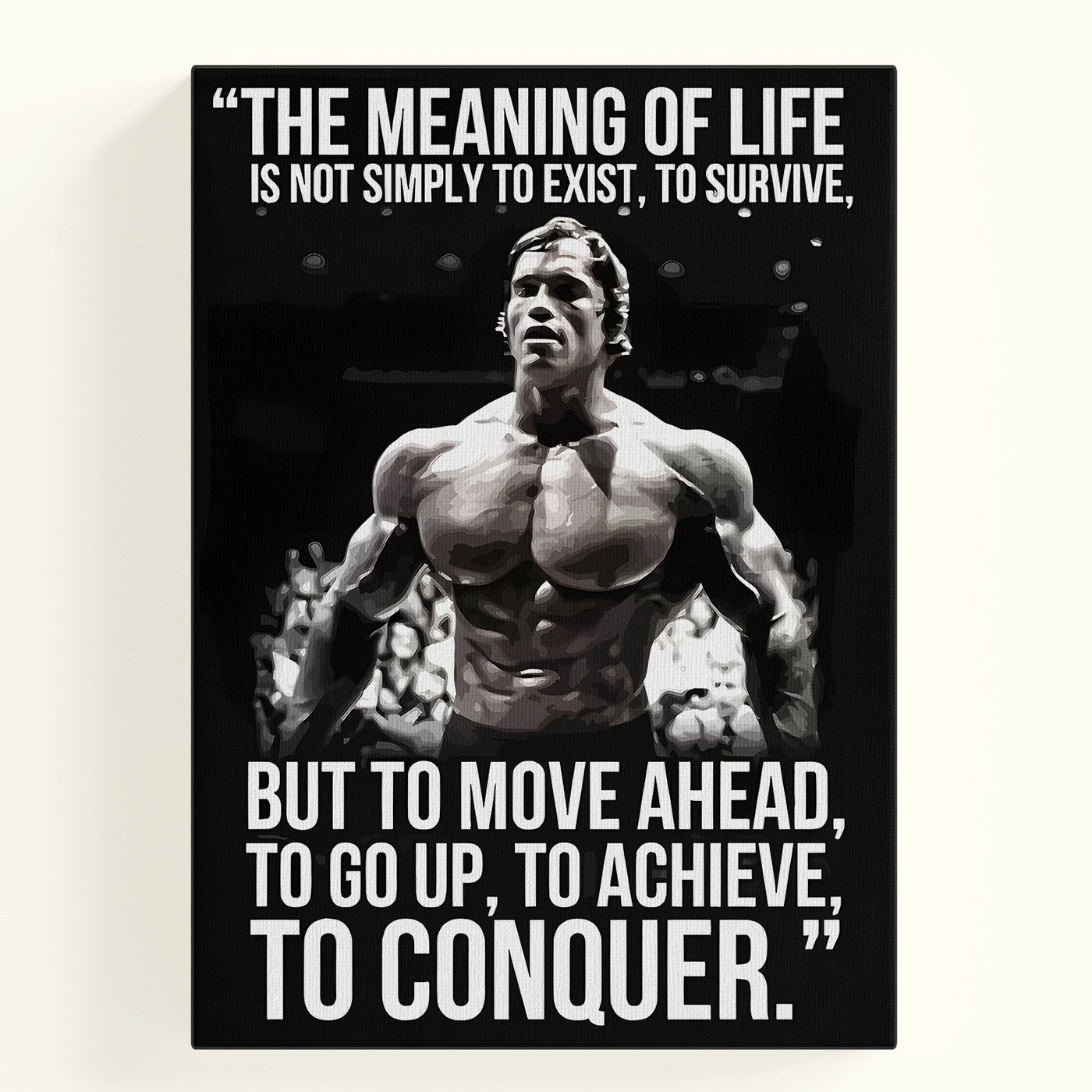 The Meaning of Life Poster