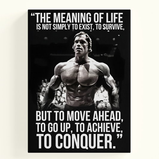 The Meaning of Life Poster