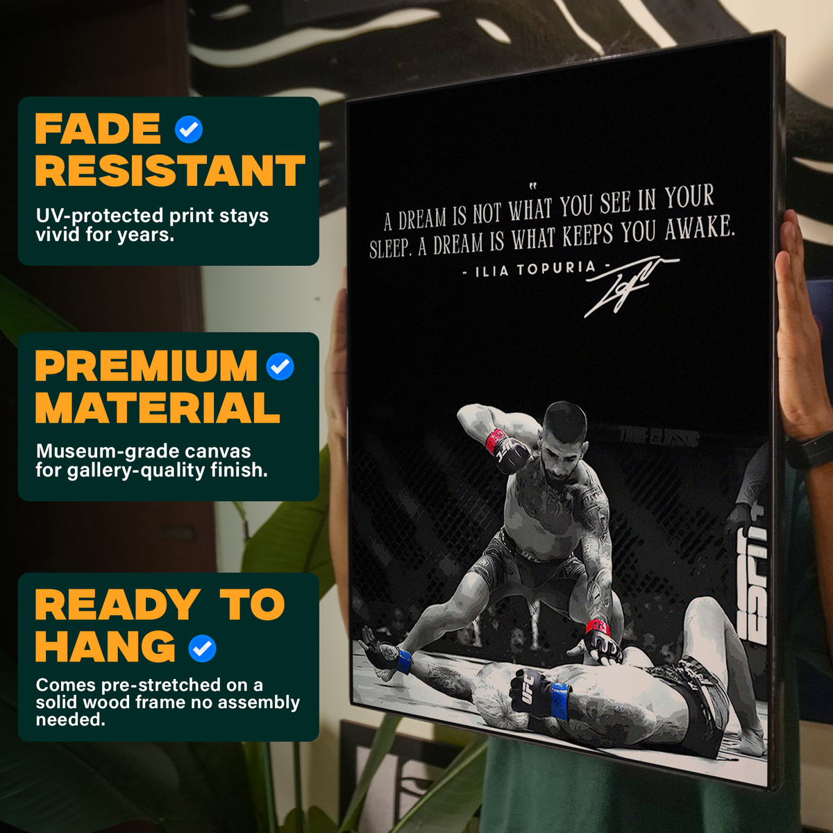 Ilia topuria Kneeling Poster