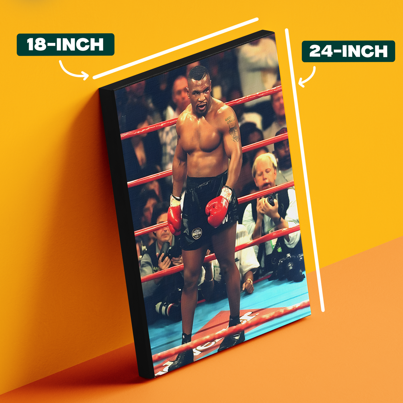 Mike Tyson Match Poster