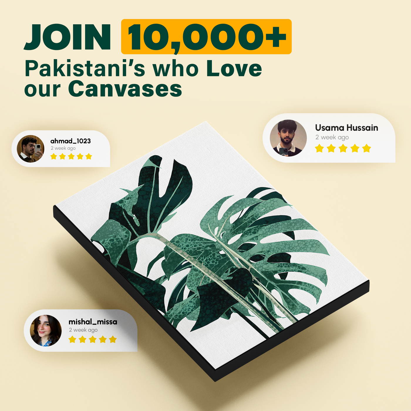 Monstera Leaf Illustration Poster